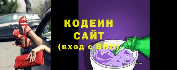 индика Богородицк