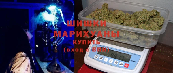 стаф Богданович